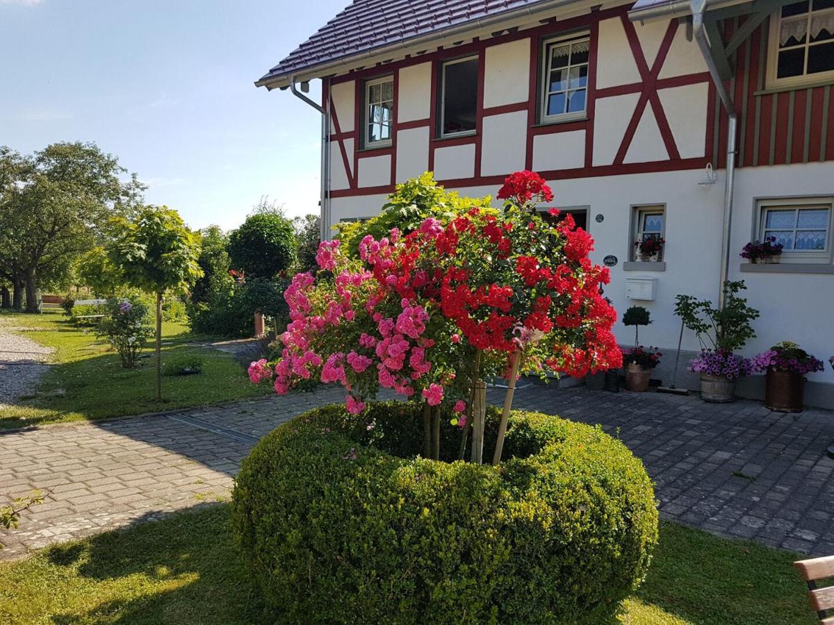 Hotel Landgut Apfelrose FDH Esterno foto