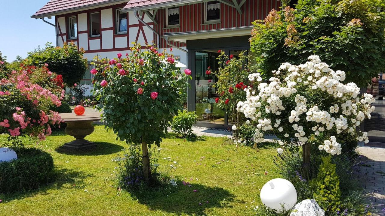 Hotel Landgut Apfelrose FDH Esterno foto
