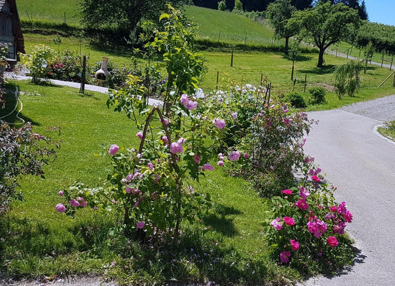 Hotel Landgut Apfelrose FDH Esterno foto