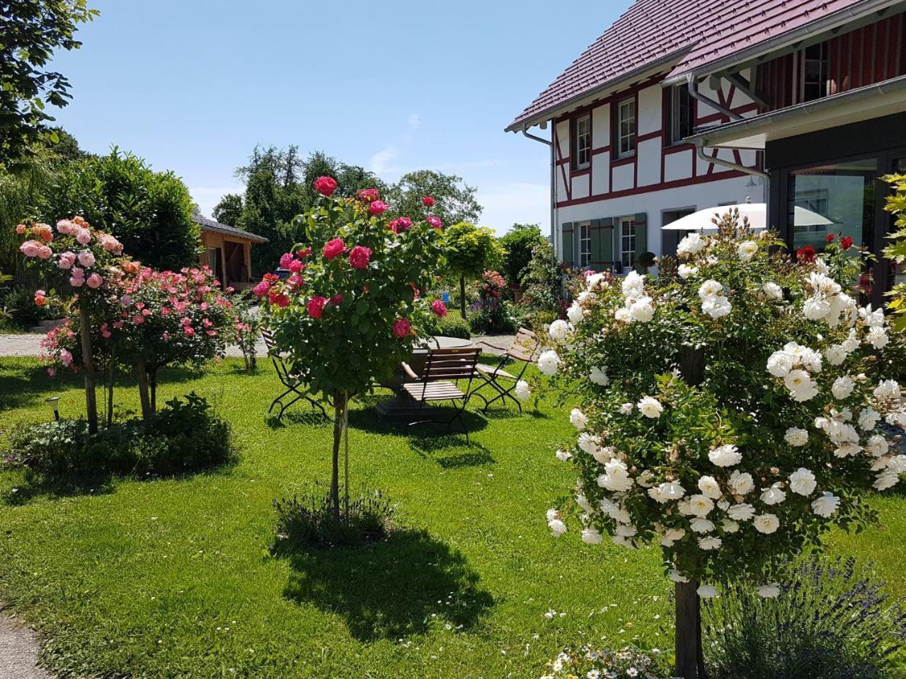 Hotel Landgut Apfelrose FDH Esterno foto