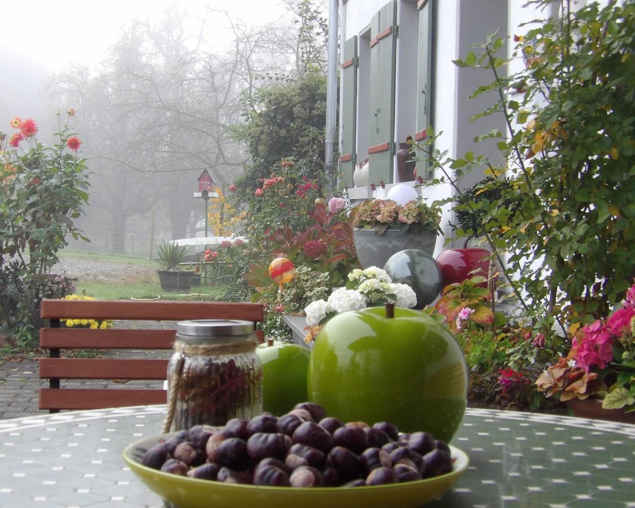 Hotel Landgut Apfelrose FDH Esterno foto